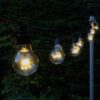 Professional Connectable Warm White Festoon A60 IP67 Lights on Black Cable 5m
