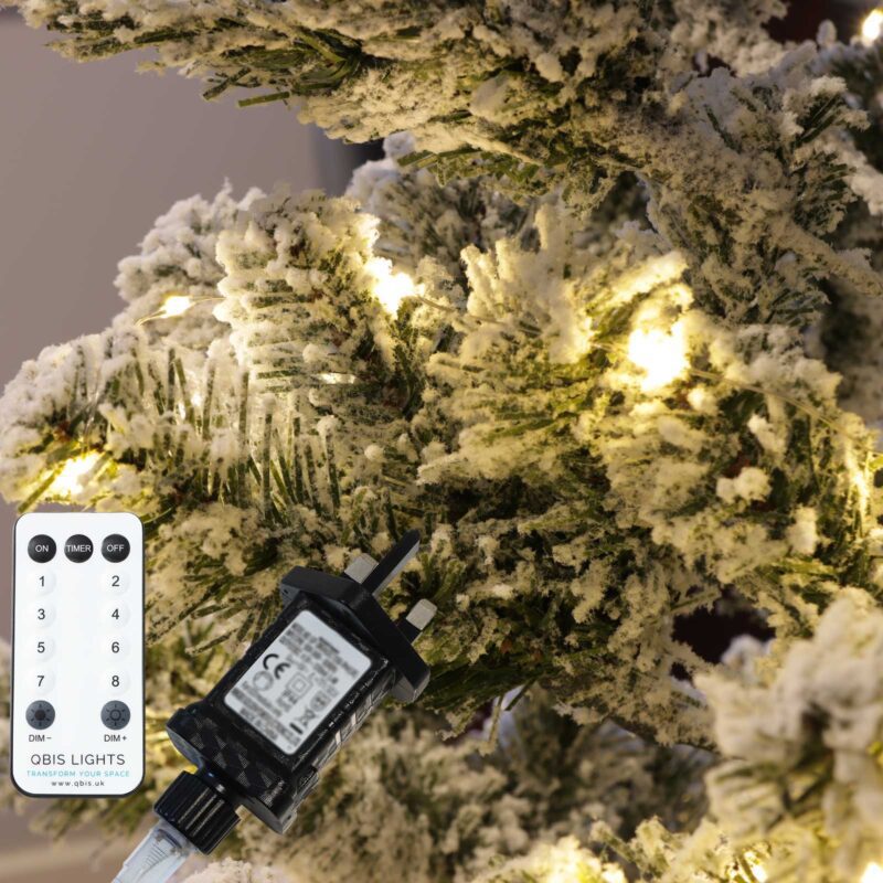100 Warm White LED Fairy Lights on Silver Wire. Remote, Dimmer, Timer ...
